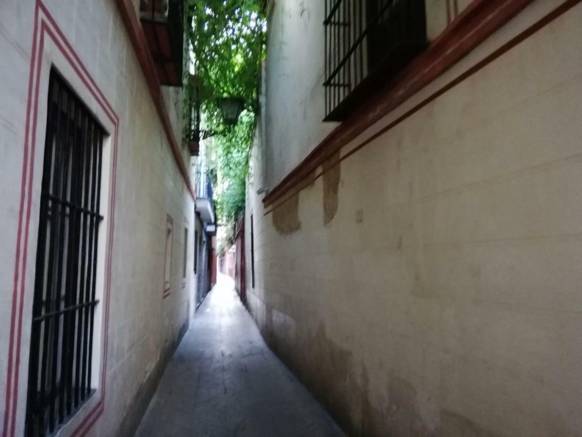 Apartamento En La Juderia De Sevilla 외부 사진